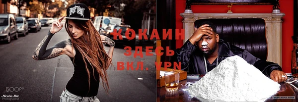 мяу мяу мука Алексин