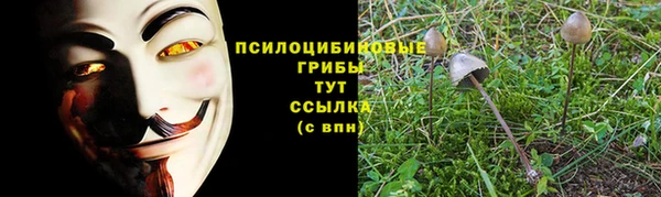 мяу мяу мука Алексин