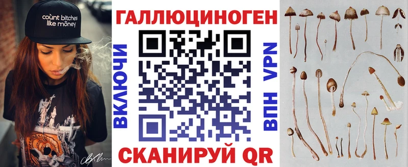 OMG ссылки  где продают   Архангельск  Псилоцибиновые грибы Cubensis 